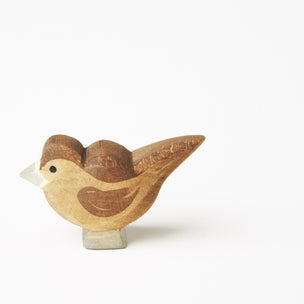 Ostheimer Sparrow, a great addition to the Bird Tree