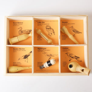 Collection of 6 Bird Calls in a box of birds found in Britain  | Conscious Craft