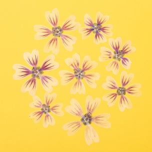 Pressed Flower | Hollyhock Violet | Conscious Craft