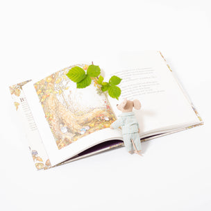 The complete brambly hedge story book 40 year anniversary edition