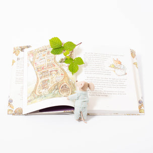 The complete brambly hedge story book 40 year anniversary edition
