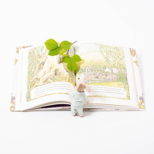 The complete brambly hedge story book 40 year anniversary edition