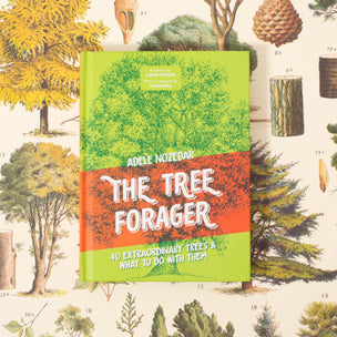 Tree Forager | © Conscious Craft