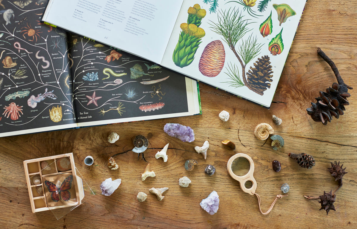 Nature Studies – Conscious Craft