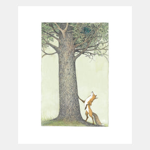 Illustration of a fox looking up at a large tree with a bird's nest.