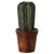 Maileg Flower Pot with Cactus