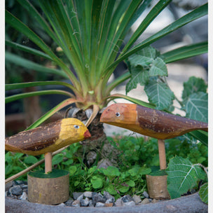 Two wooden bird figurines in a garden setting with plants and rocks.