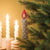 A fabric candle-shaped Christmas ornament hangs from a green Christmas tree branch. The ornament has a red flame top with a white center and a gray body decorated with small white snowflake patterns.