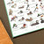 Alexia Claire Ducks Wildlife Spotting Notepad | Conscious Craft
