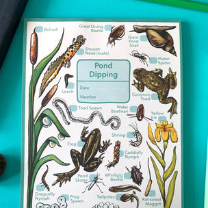 Alexia Claire | Pond Dipping Wildlife Spotting Notepad