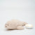 moonie Seal sand 