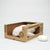 Moonie Organic Humming Seal | Polar
