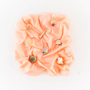 Seashells on a pink fabric background