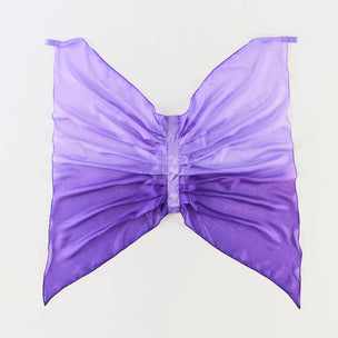 Sarah's Silk Purple Dinosaur Wings