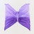 Sarah's Silk Purple Dinosaur Wings