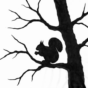 Toverlux DIY Transparencies | Squirrel