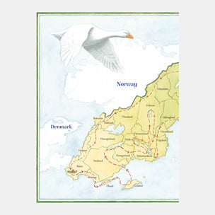 Map of Norway with a goose flying over it on a light gray background
