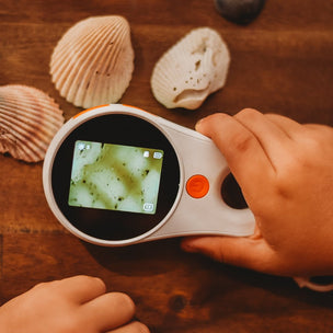 Hand holding a digital microscopes with shells on a wooden surface