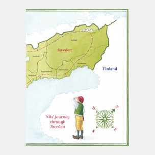 Nils journey book