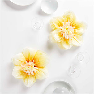 Tissue Paper Flowers Daffodil | Conscious Craft