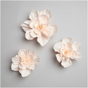 Crepe Paper Blossom | Peach