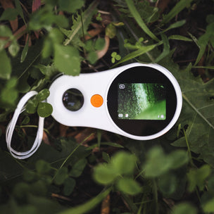 White device with screen on green leaves