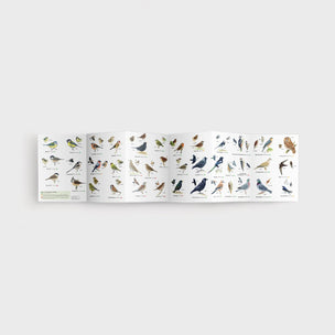  RSPB ID Spotlight | Garden Birds | Conscious Craft