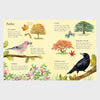 Things to Spot in Autumn | Usborne Minis