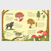 Things to Spot in Autumn | Usborne Minis