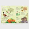 Things to Spot in Autumn | Usborne Minis