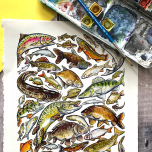 Freshwater Fish Art card