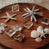 Decorative display of starfish, shells, and small boxes on a wooden board.
