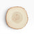 Cross-section of a tree trunk on a white background
