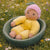 Blossom Baby | Yellow