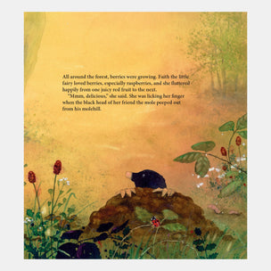 inside the book Little Fairy Makes a Wish