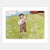 Illustration of a boy holding a lamb in a field with flowers and a red wagon in the background.