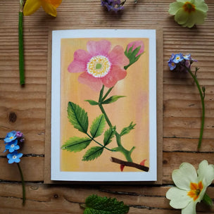 Whispers of the Wild | Wild Rose Wildflower Greeting Card
