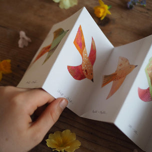 Birdsong - Concertina Card
