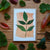 Elder | Ogham Leaf Card