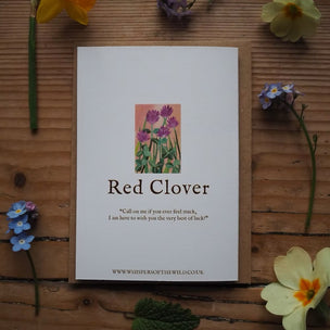 Red Clover | Wildflower Greeting Card