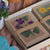 Whispers of the Wild | Wildflower Cards & Guidebook