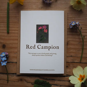 Violet | Wildflower Greeting Card