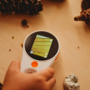 Hand holding a digital thermometer on a wooden surface with pine cones and leaves.
