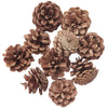 Rico Design Natural Pine Cones | Conscious Craft