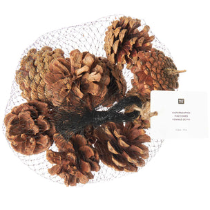 Rico Design Natural Pine Cones | Conscious Craft