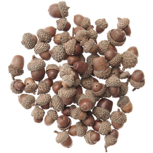 Rico Design Acorns 200g | Conscious Craft