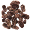 Spruce Cones 200g Conscious Craft