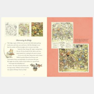 Illustrated book page with colorful illustrations and text on a pink background