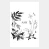Black and white illustration of plants and a hedgehog with the name 'ASH' on a white background