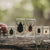 A hand holds a row of clear resin blocks containing preserved beetle specimens outdoors on a weathered log, with a blurred natural green background.